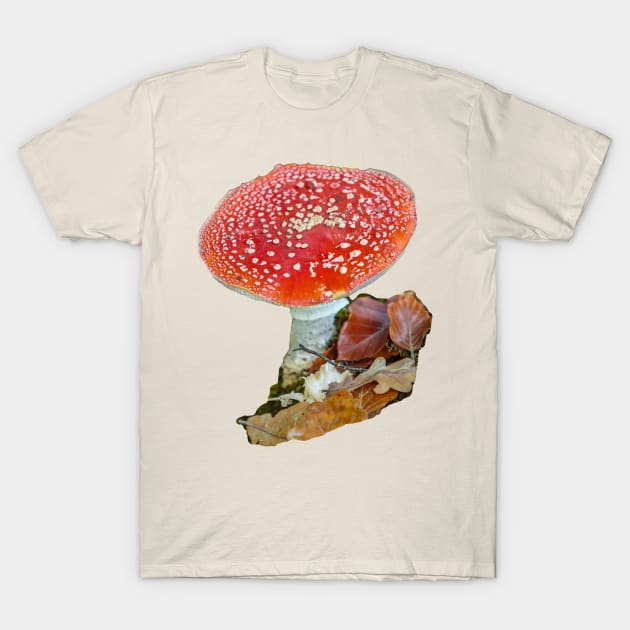 Fly Agaric Mushroom T-Shirt by dalyndigaital2@gmail.com